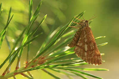 BUITEN BEELD Foto: 103023