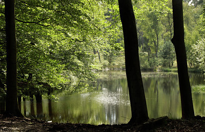 BUITEN BEELD Foto: 103050