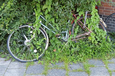 BUITEN BEELD Foto: 103062
