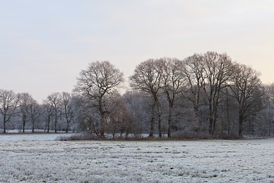 BUITEN BEELD Foto: 103065