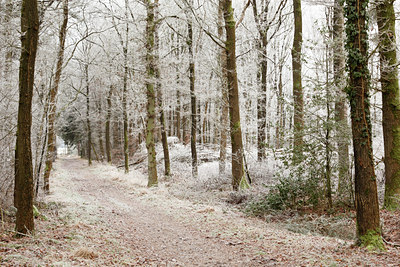 BUITEN BEELD Foto: 103066