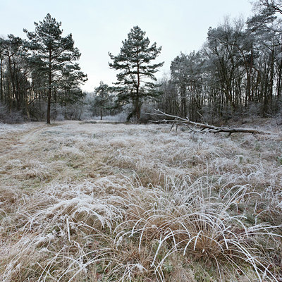 BUITEN BEELD Foto: 103070