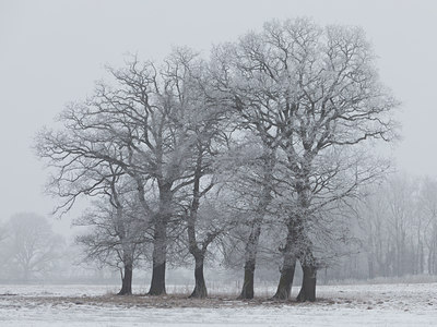 BUITEN BEELD Foto: 103076