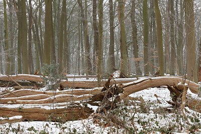 BUITEN BEELD Foto: 103083