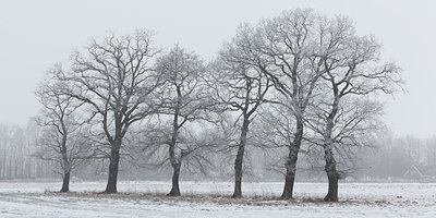 BUITEN BEELD Foto: 103084
