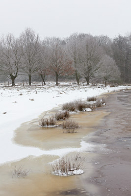 BUITEN BEELD Foto: 103086