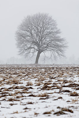 BUITEN BEELD Foto: 103087