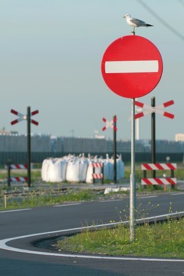 BUITEN BEELD Foto: 103211