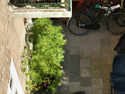 BUITEN BEELD Foto: 103243