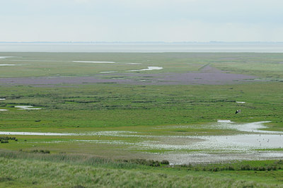 BUITEN BEELD Foto: 103400