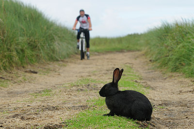 BUITEN BEELD Foto: 103402