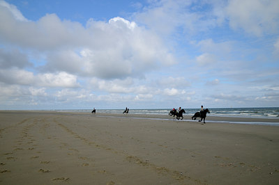 BUITEN BEELD Foto: 103403