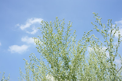 BUITEN BEELD Foto: 103420