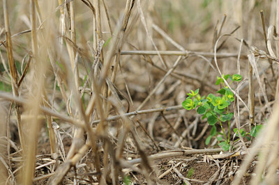 BUITEN BEELD Foto: 103426