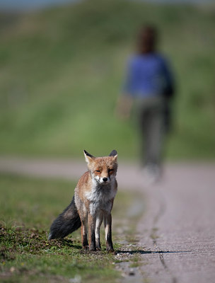 BUITEN BEELD Foto: 103482