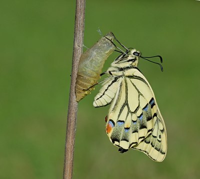 BUITEN BEELD Foto: 103492