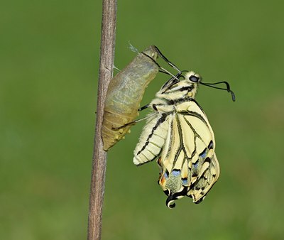 BUITEN BEELD Foto: 103494