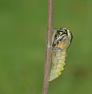 BUITEN BEELD Foto: 103501