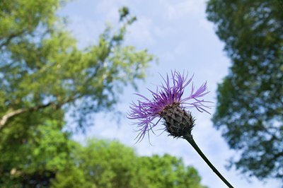 BUITEN BEELD Foto: 103521