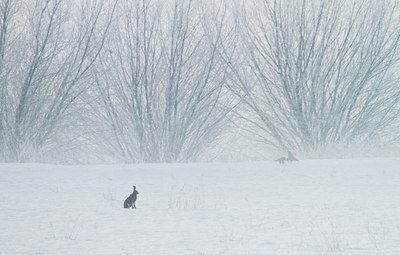 BUITEN BEELD Foto: 103615