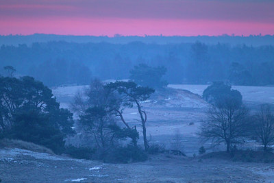 BUITEN BEELD Foto: 103618