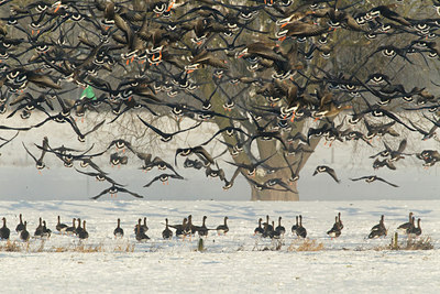BUITEN BEELD Foto: 103624