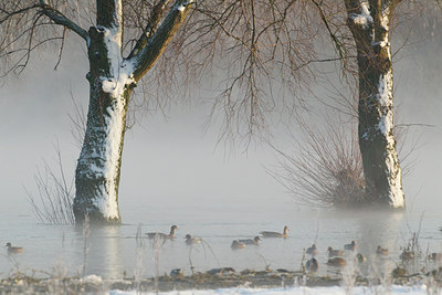BUITEN BEELD Foto: 103626