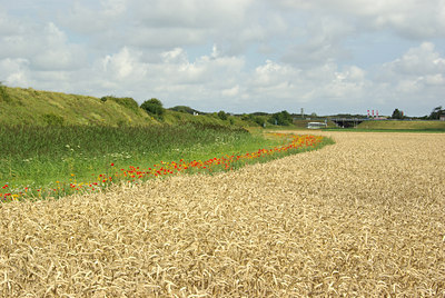 BUITEN BEELD Foto: 103675