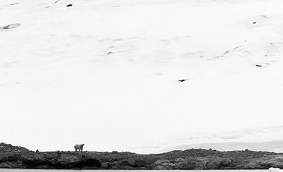 BUITEN BEELD Foto: 103706