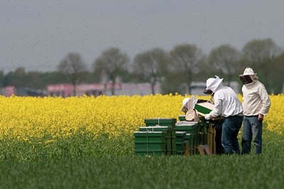 BUITEN BEELD Foto: 103736