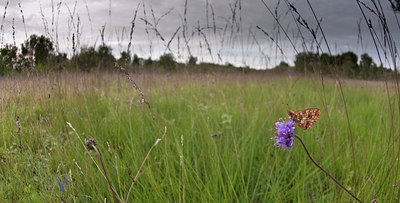 BUITEN BEELD Foto: 103991