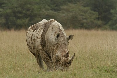 BUITEN BEELD Foto: 104125