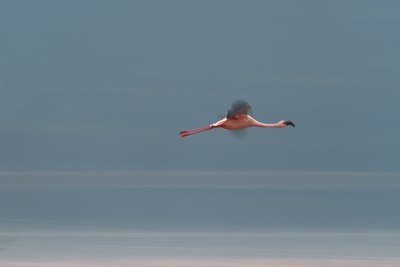 BUITEN BEELD Foto: 104183