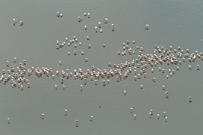 BUITEN BEELD Foto: 104203