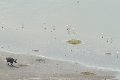 BUITEN BEELD Foto: 104212