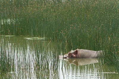 BUITEN BEELD Foto: 104235
