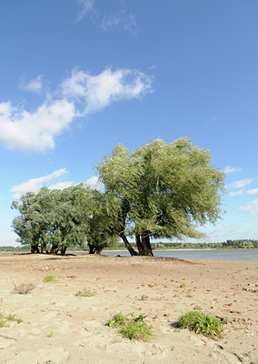 BUITEN BEELD Foto: 104327