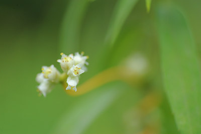 BUITEN BEELD Foto: 104331