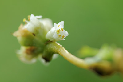 BUITEN BEELD Foto: 104332