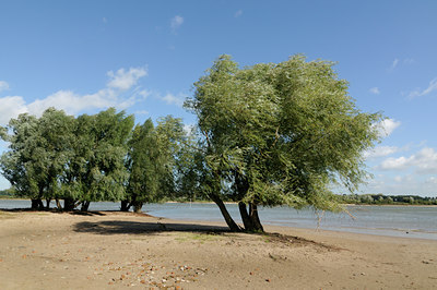 BUITEN BEELD Foto: 104339