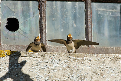 BUITEN BEELD Foto: 104357