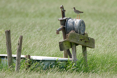 BUITEN BEELD Foto: 104365