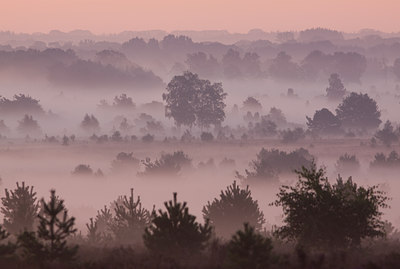 BUITEN BEELD Foto: 104400