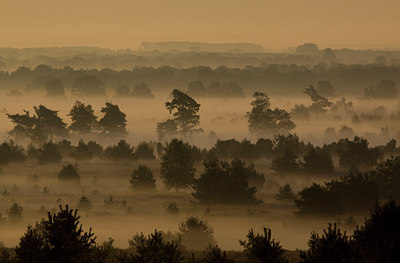 BUITEN BEELD Foto: 104401