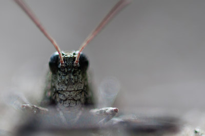 BUITEN BEELD Foto: 104411