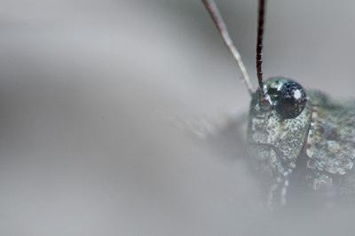 BUITEN BEELD Foto: 104412