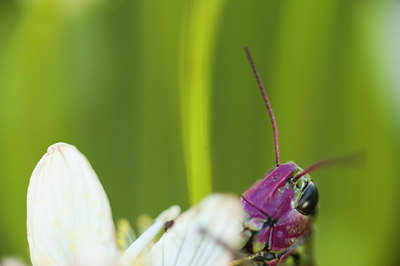 BUITEN BEELD Foto: 104418