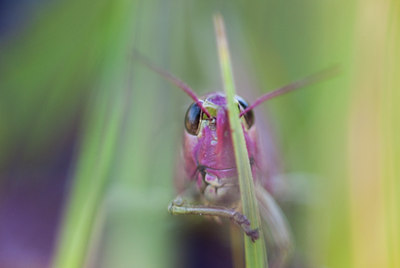 BUITEN BEELD Foto: 104419