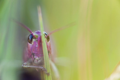 BUITEN BEELD Foto: 104420