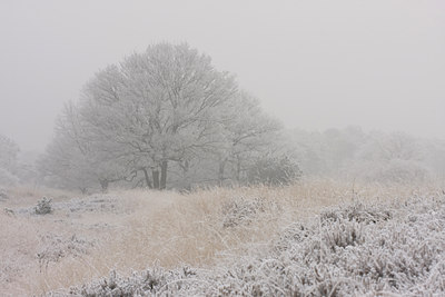BUITEN BEELD Foto: 104425